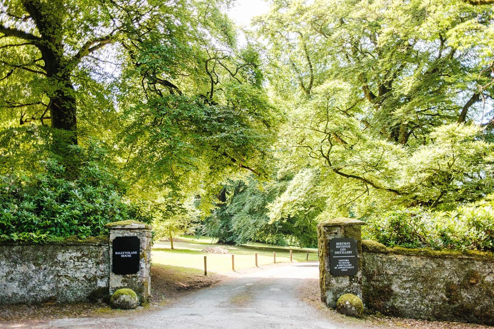 Ballyvolane House Fermoy Dış mekan fotoğraf