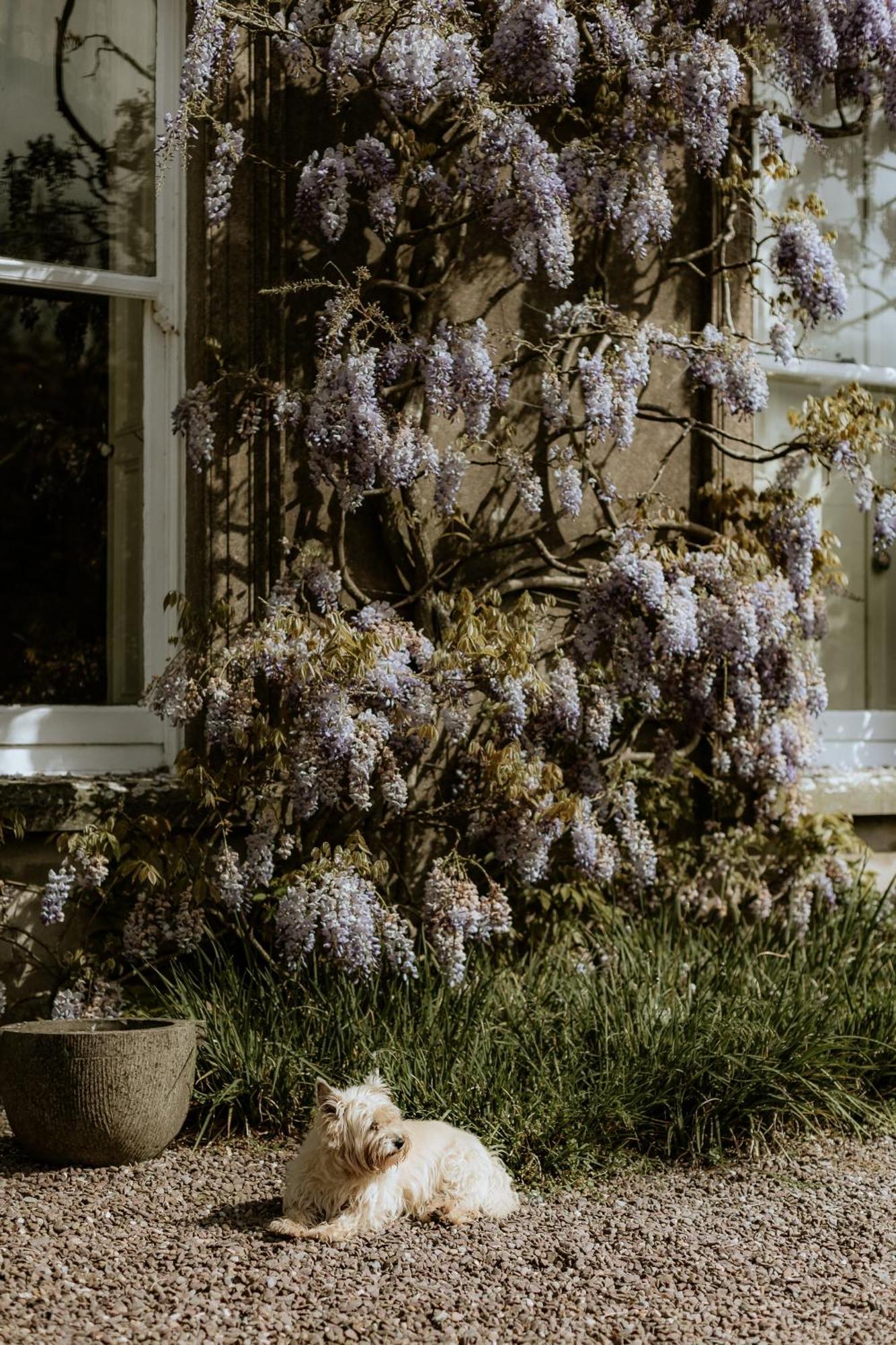 Ballyvolane House Fermoy Dış mekan fotoğraf
