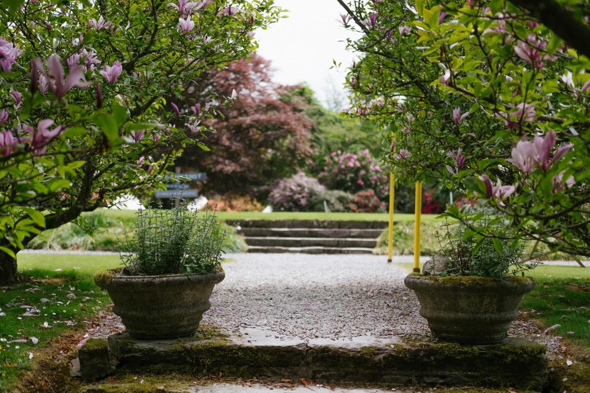 Ballyvolane House Fermoy Dış mekan fotoğraf